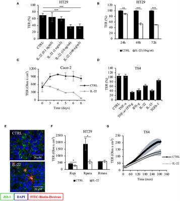 Reprogramming Intestinal Epithelial Cell Polarity by Interleukin-22
